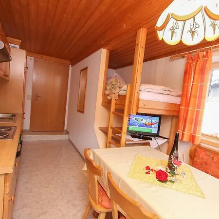 Mosshamhof Apartment Saalfelden